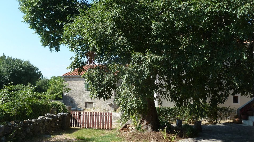 Krk, okolica, samostojeća primorska starina, sa velikom terasom