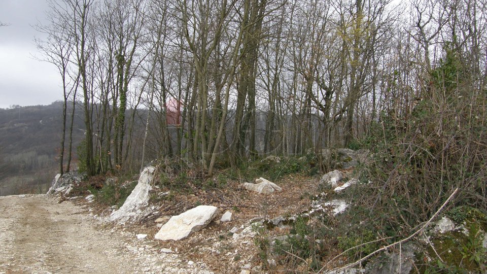 Land, 1100 m2, For Sale, Pićan