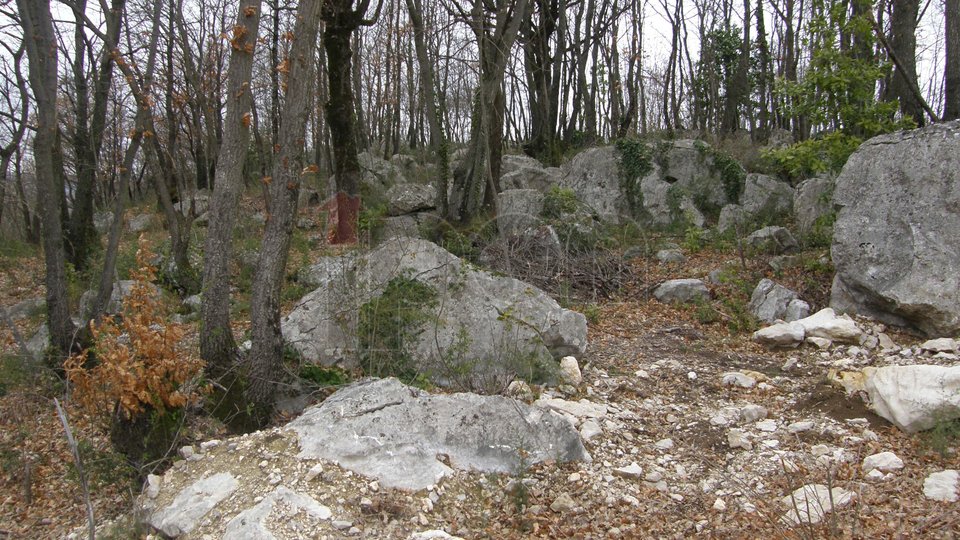 Land, 1100 m2, For Sale, Pićan
