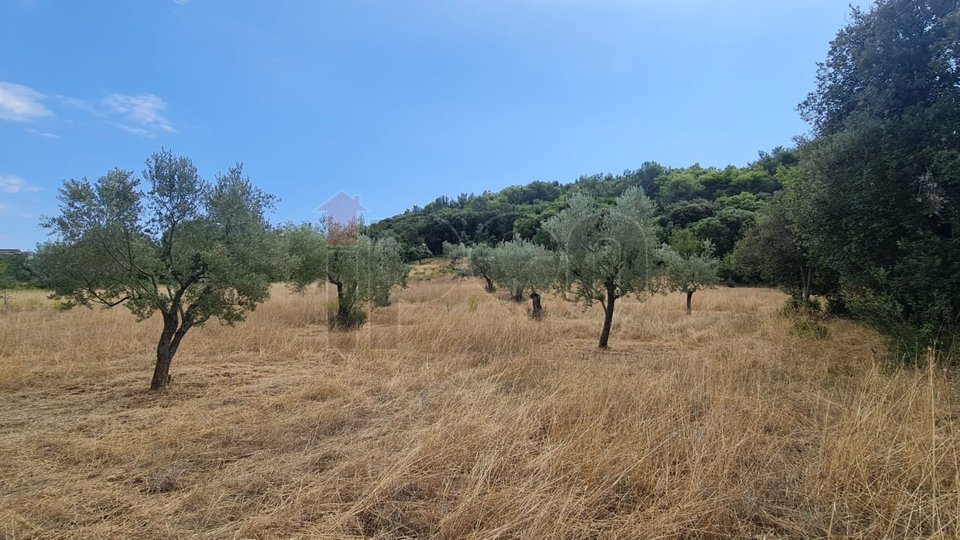 Land, 11901 m2, For Sale, Pula