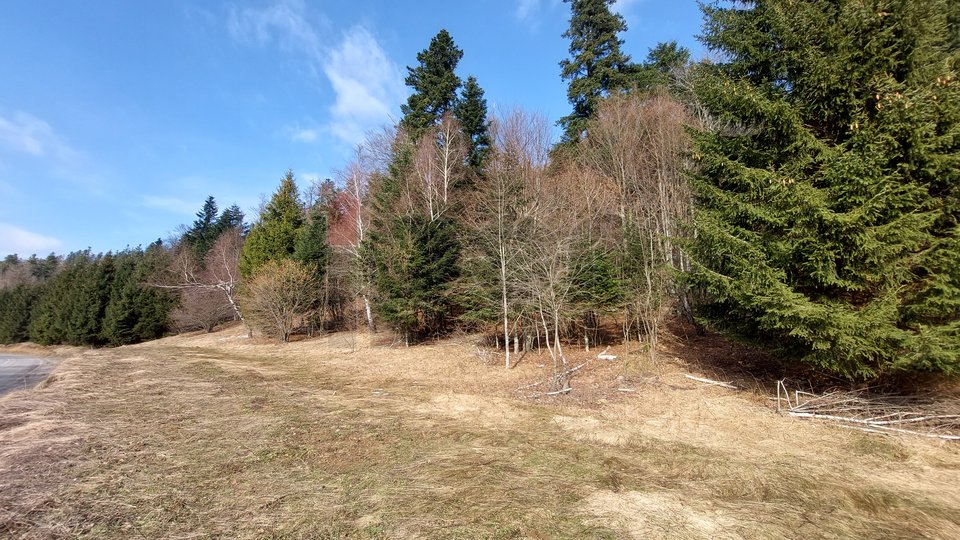 Land, 889 m2, For Sale, Fužine