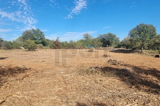 Rovinj - poljoprivredno zemljište površine 5300 m2, prodaja