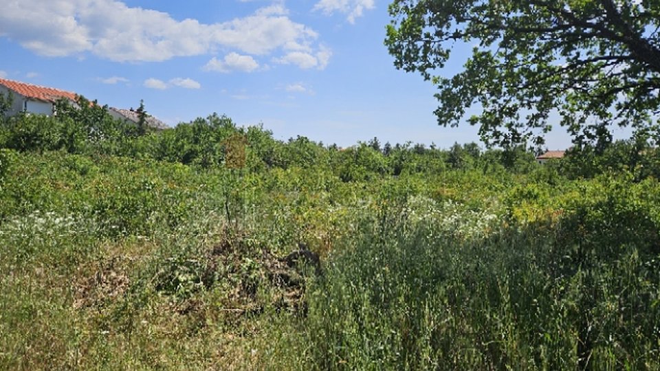 Land, 3200 m2, For Sale, Jadranovo
