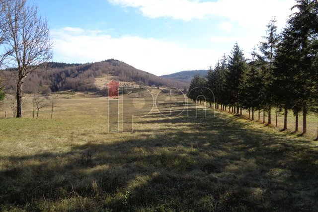 Land, 4440 m2, For Sale, Ravna Gora - Stari Laz