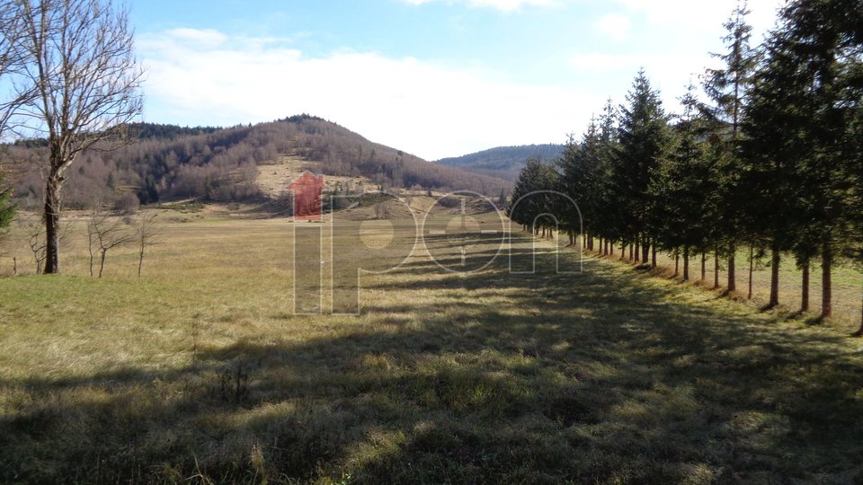 Zemljišče, 4440 m2, Prodaja, Ravna Gora - Stari Laz